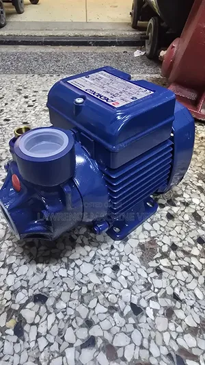 Surface Pump PKm60 0.5HP Pedrolla