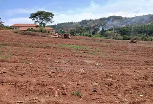 Prime Plots for Sale at Katende~Kizinda Land Estate Along Masaka Road.