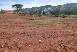 Prime Plots for Sale at Katende~Kizinda Land Estate Along Masaka Road.