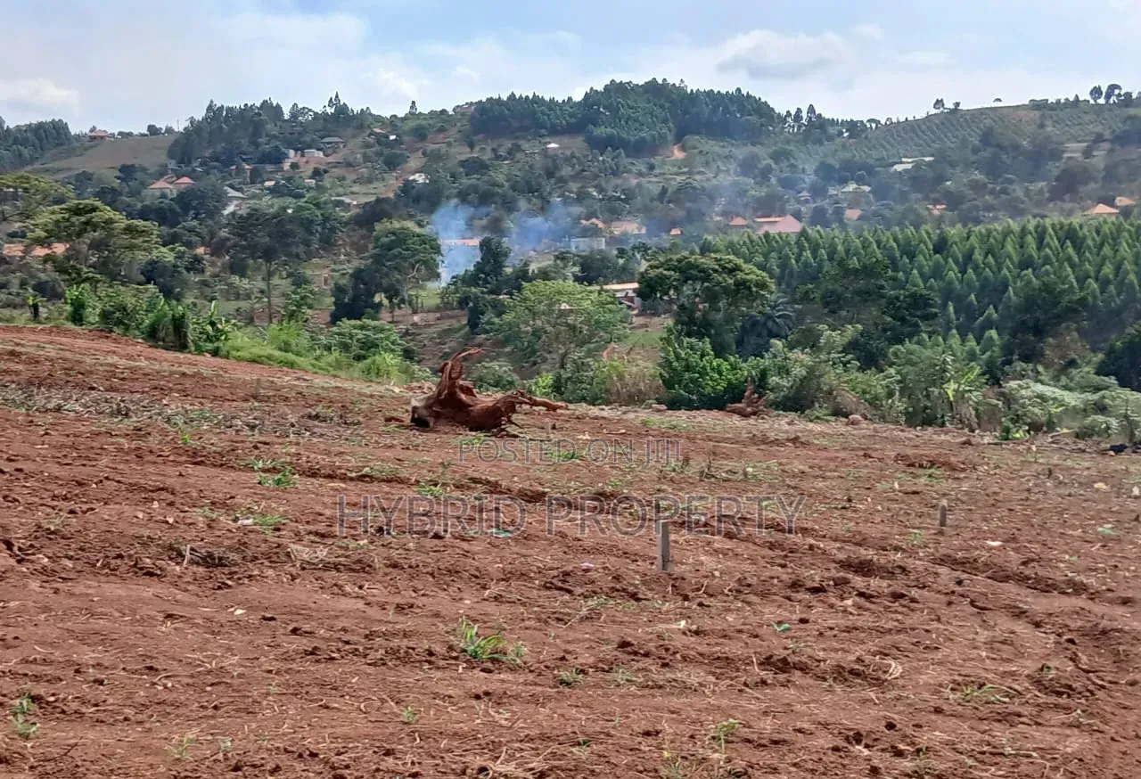 Prime Plots for Sale at Katende~Kizinda Land Estate Along Masaka Road.