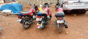 Bajaj Boxer 125 2024 Red