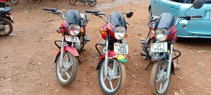 Bajaj Boxer 125 2024 Red