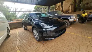 New Tesla Model Y Performance 2024 Black