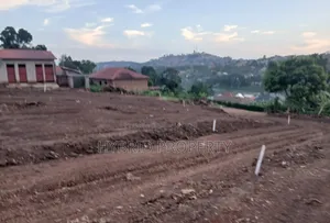 Prime Plots for Sale at Namagoma~Nakitokolo Land Estate ~Masaka Road.