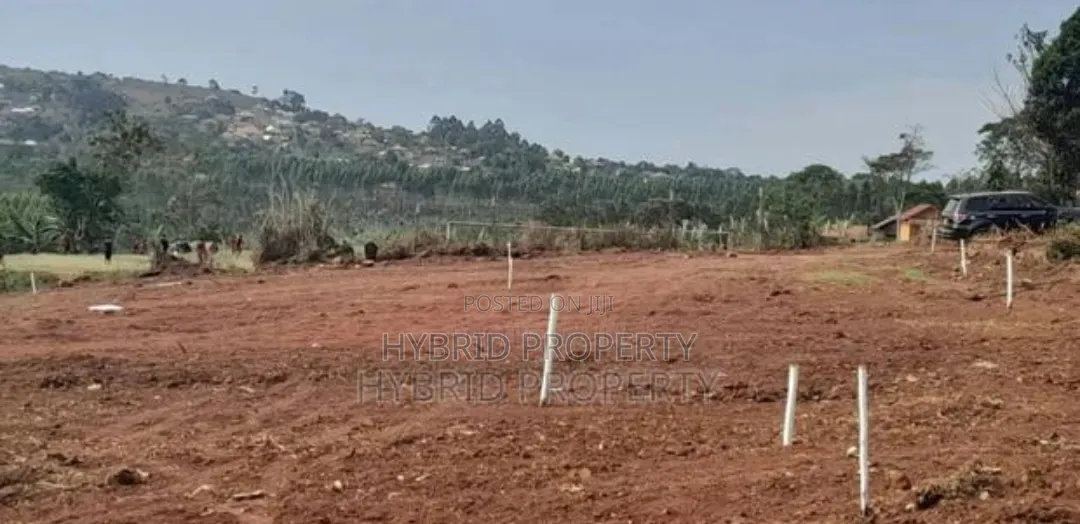 Prime Plots for Sale in Katende Town Kulya Show Land Estate~Masaka Rd.