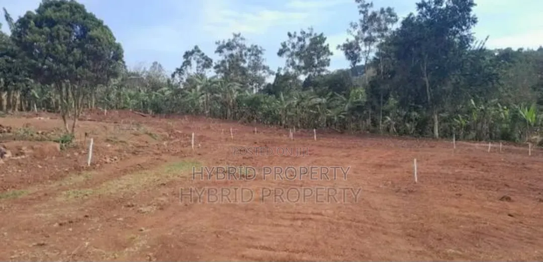 Prime Plots for Sale in Katende Town Kulya Show Land Estate~Masaka Rd.