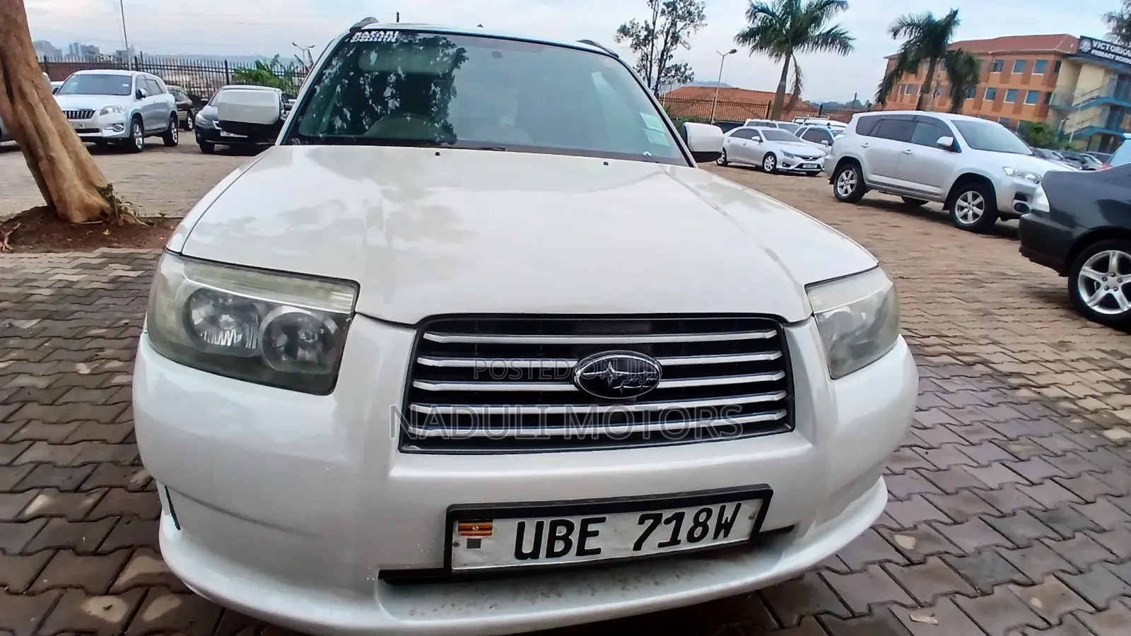 Subaru Forester 2006 White