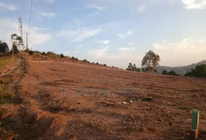 Prime Plots for Sale at Namagoma Hill View Modern Estate~Masaka Road.