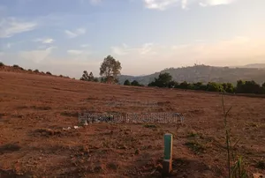 Prime Plots for Sale at Namagoma Hill View Modern Estate~Masaka Road.