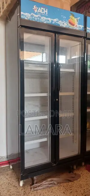 Double Door Fridge