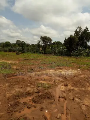 Land for Sale One Acre at 40m Ugx Muduma Mitiyana Near Road