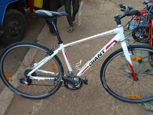 Sports Bike Giant Escape Brand Size 28 With 8 Gears