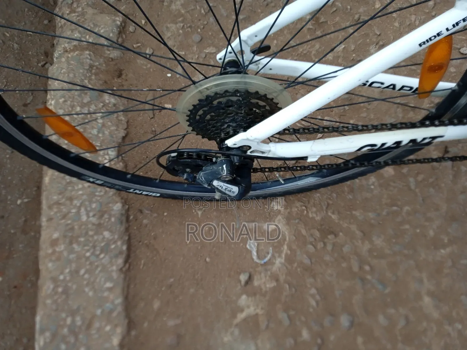 Sports Bike Giant Escape Brand Size 28 With 8 Gears