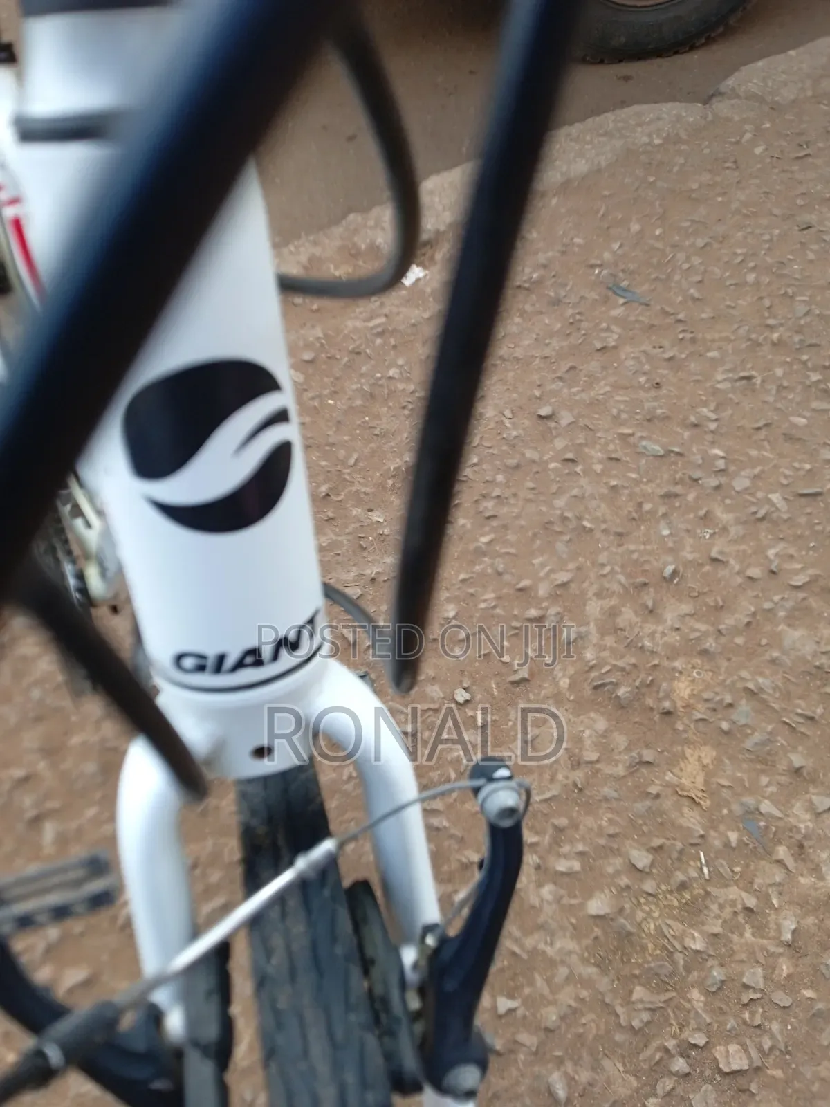 Sports Bike Giant Escape Brand Size 28 With 8 Gears