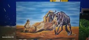A Lion Fight for a Meal