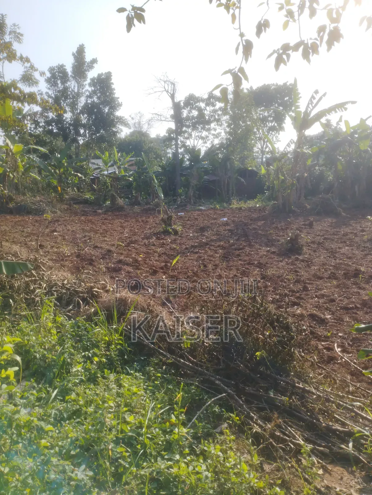 Nakisunga 120ft X 80ft Titled Land