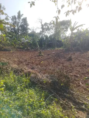 Nakisunga 120ft X 80ft Titled Land