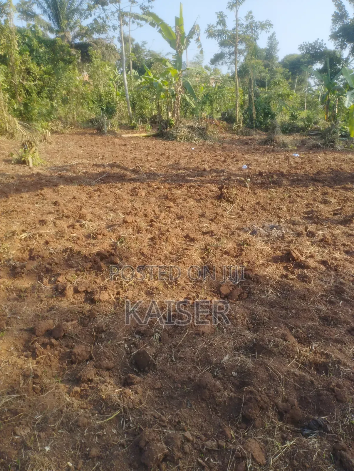 Nakisunga 120ft X 80ft Titled Land