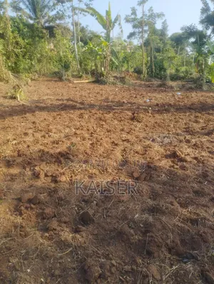 Nakisunga 120ft X 80ft Titled Land