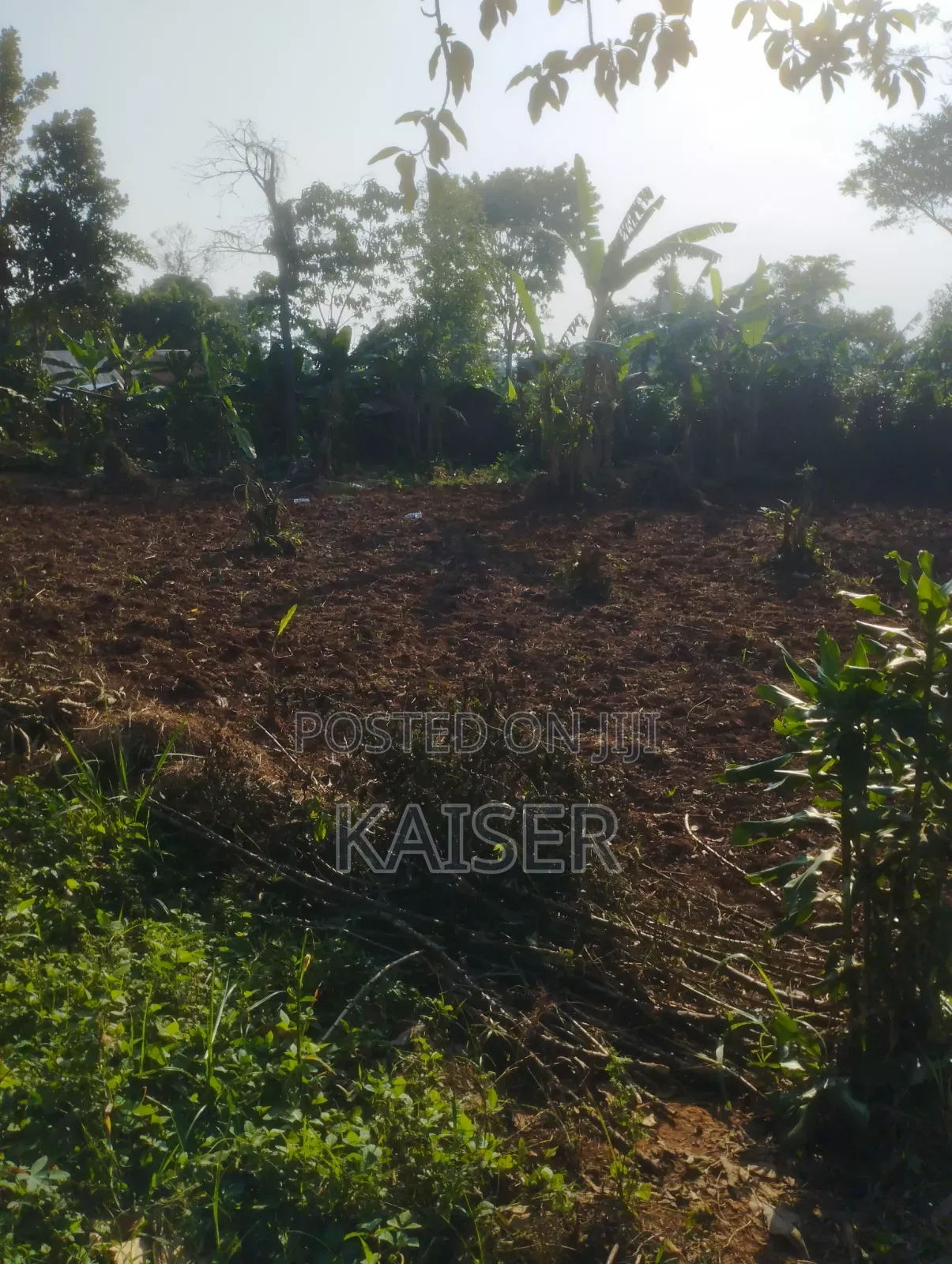 Nakisunga 120ft X 80ft Titled Land