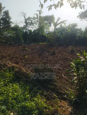 Nakisunga 120ft X 80ft Titled Land