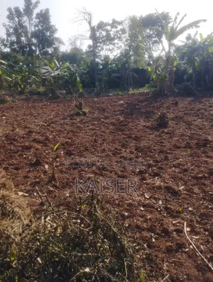 Nakisunga 120ft X 80ft Titled Land