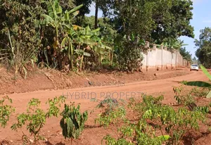 Prime Plots for Sale at Mpigi~Lungala Divine Land Estate~Masaka Road X