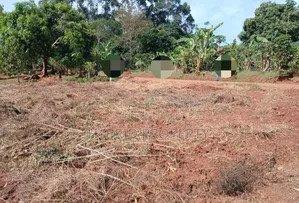 Prime Plots for Sale at Mpigi~Lungala Divine Land Estate~Masaka Road X