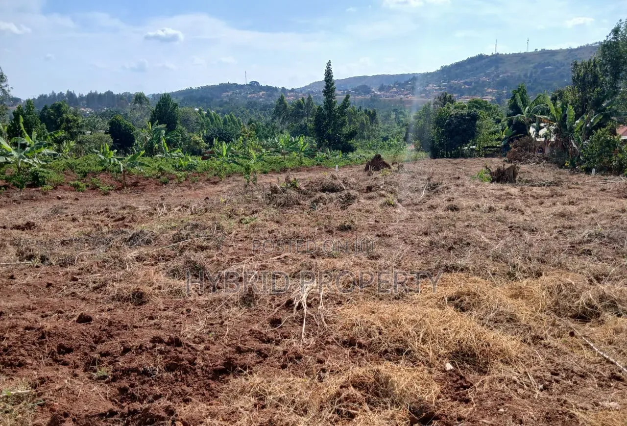 Prime Plots for Sale at Mpigi~Lungala Divine Land Estate~Masaka Road X