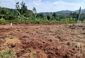 Prime Plots for Sale at Mpigi~Lungala Divine Land Estate~Masaka Road X
