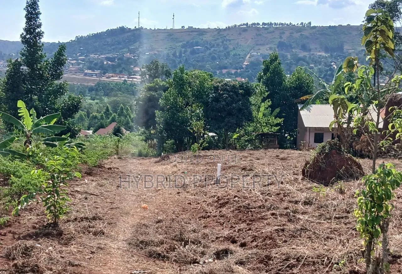 Prime Plots for Sale at Mpigi~Lungala Divine Land Estate~Masaka Road X