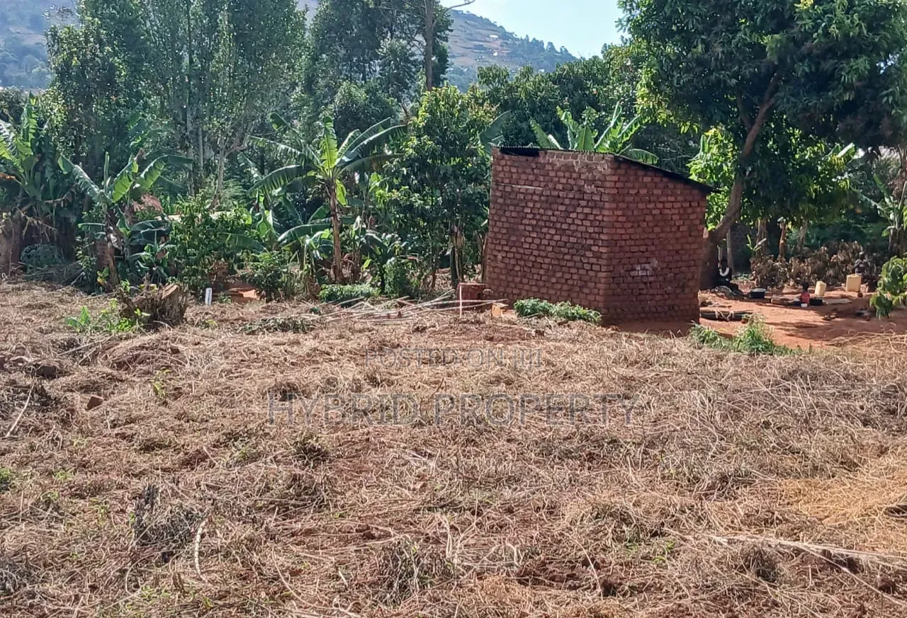 Prime Plots for Sale at Mpigi~Lungala Divine Land Estate~Masaka Road X