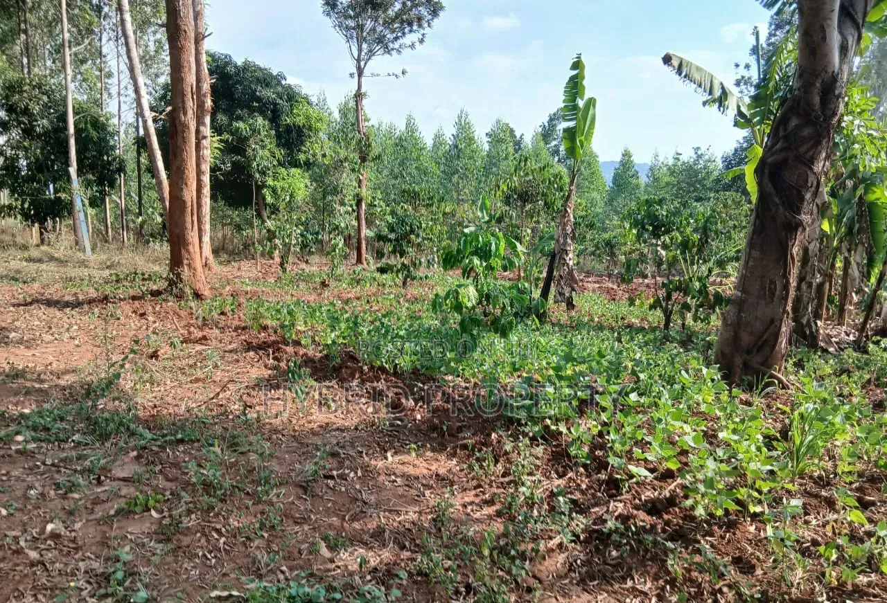 2Acres of Land for Sale at Katende~Kavule Nakabiso Along Masaka Road.