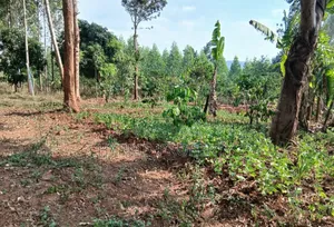 2Acres of Land for Sale at Katende~Kavule Nakabiso Along Masaka Road.