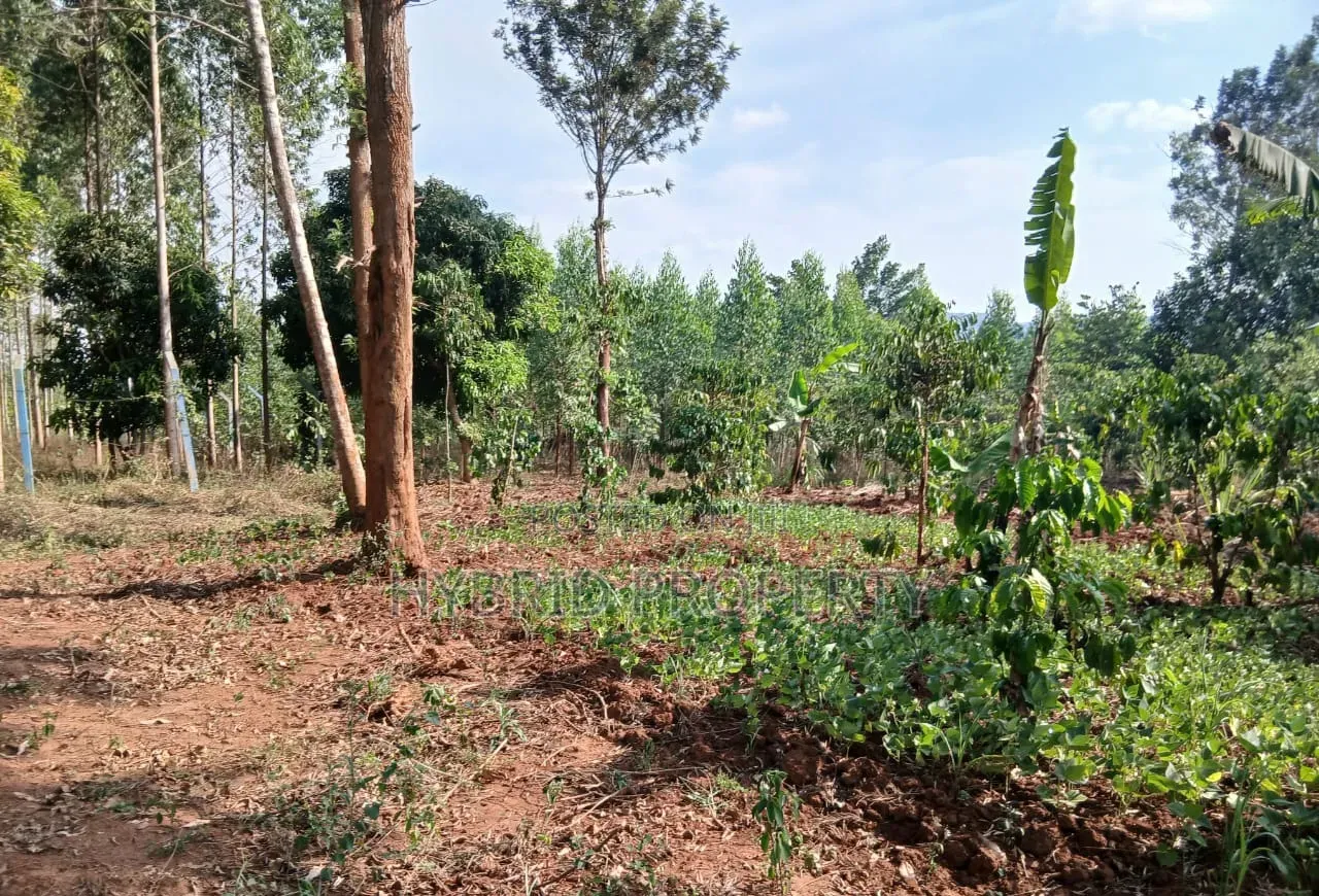 2Acres of Land for Sale at Katende~Kavule Nakabiso Along Masaka Road.