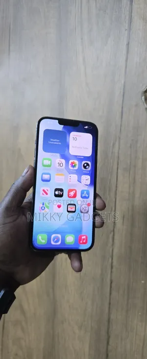 Apple iPhone 13 Pro Max 1 TB Blue
