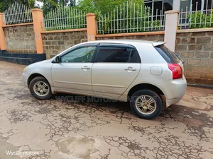Toyota Allex 2006 Silver