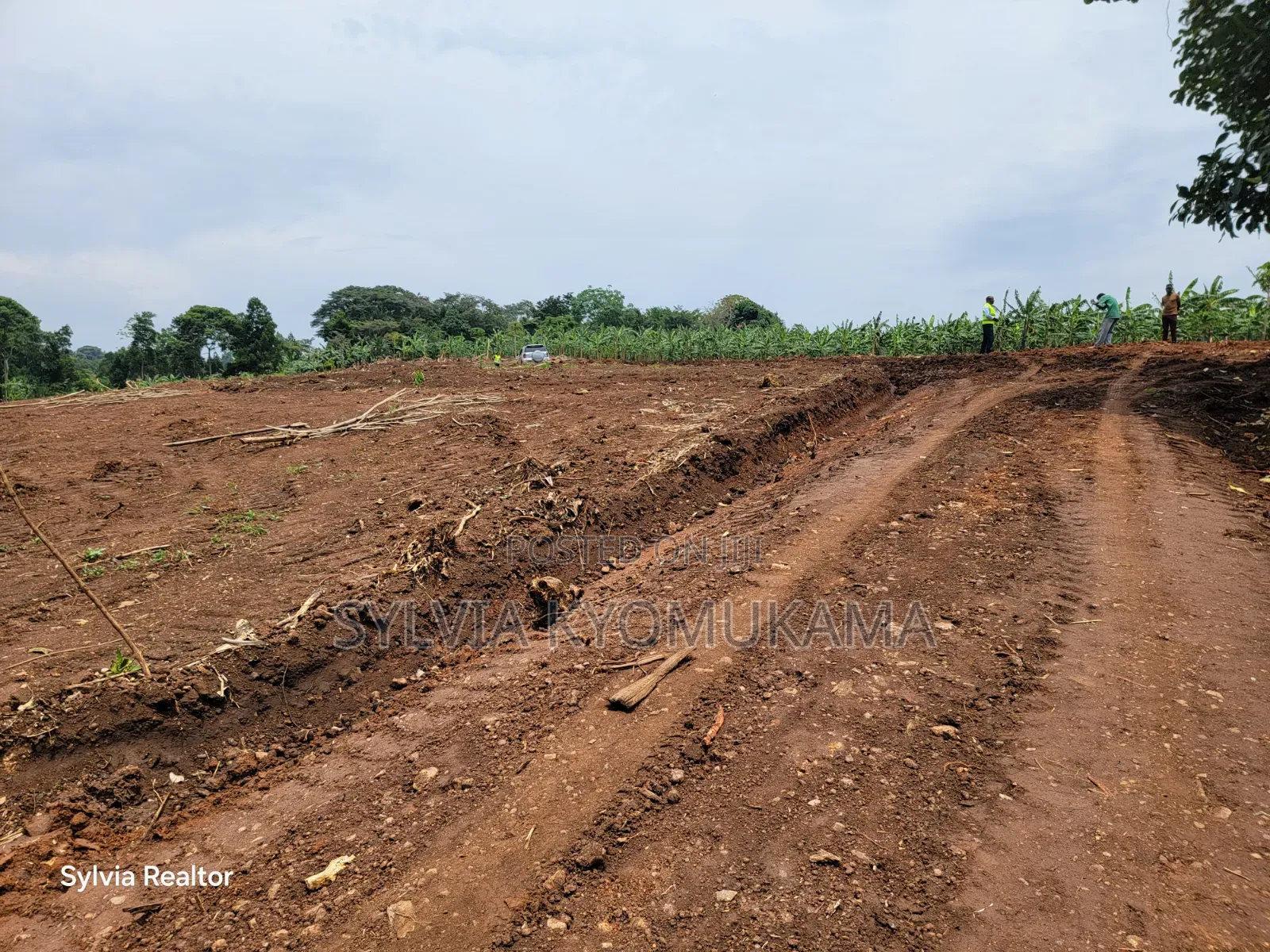 Plots for Sale