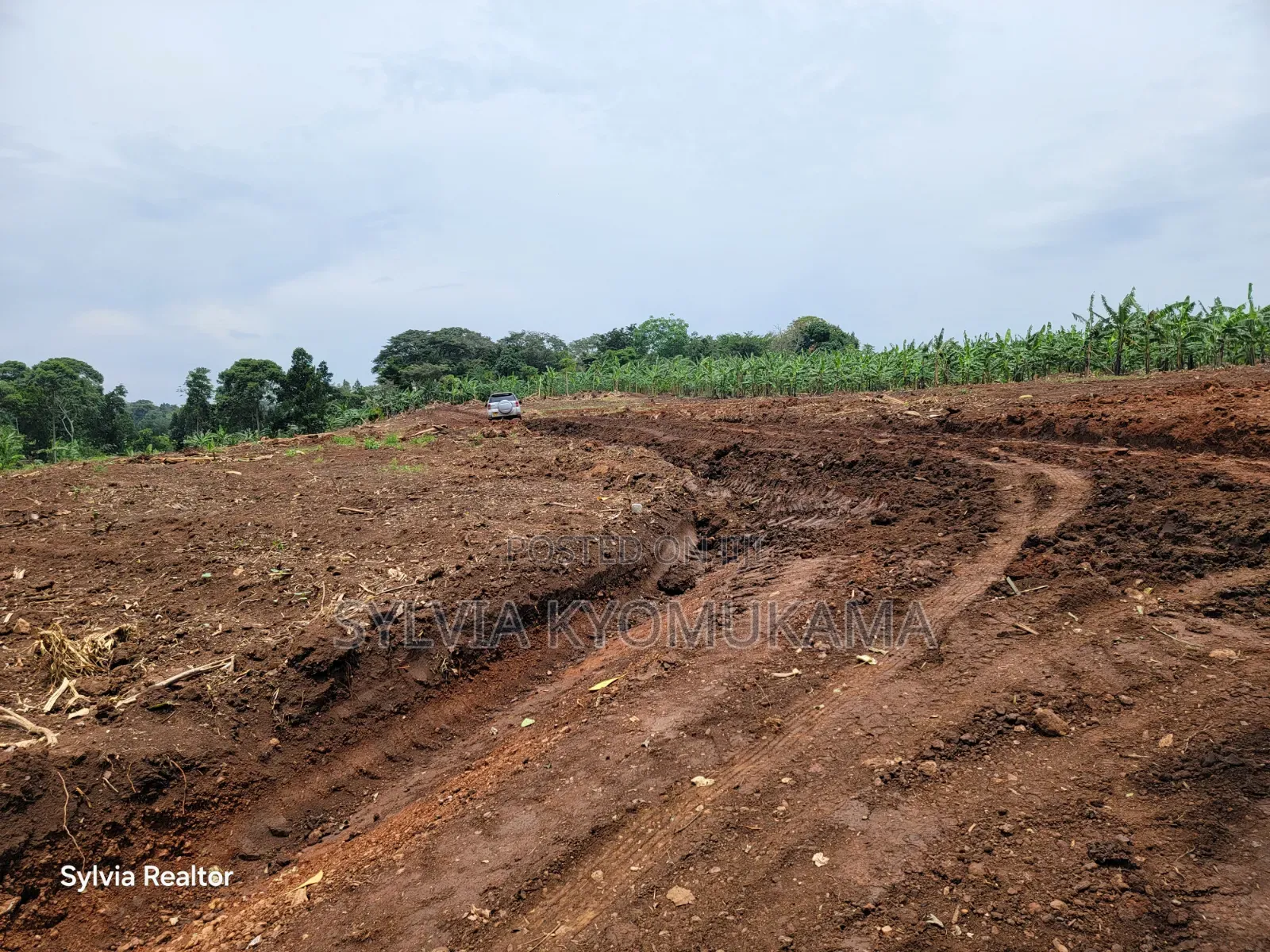 Plots for Sale