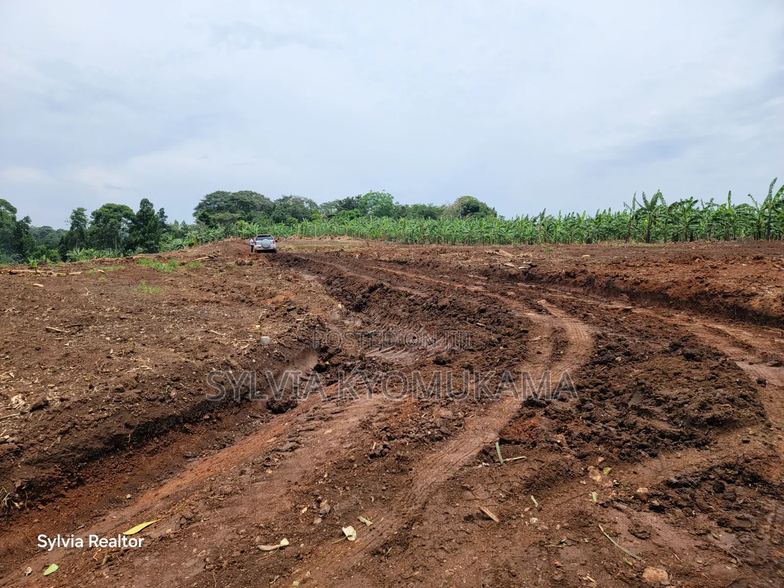Plots for Sale