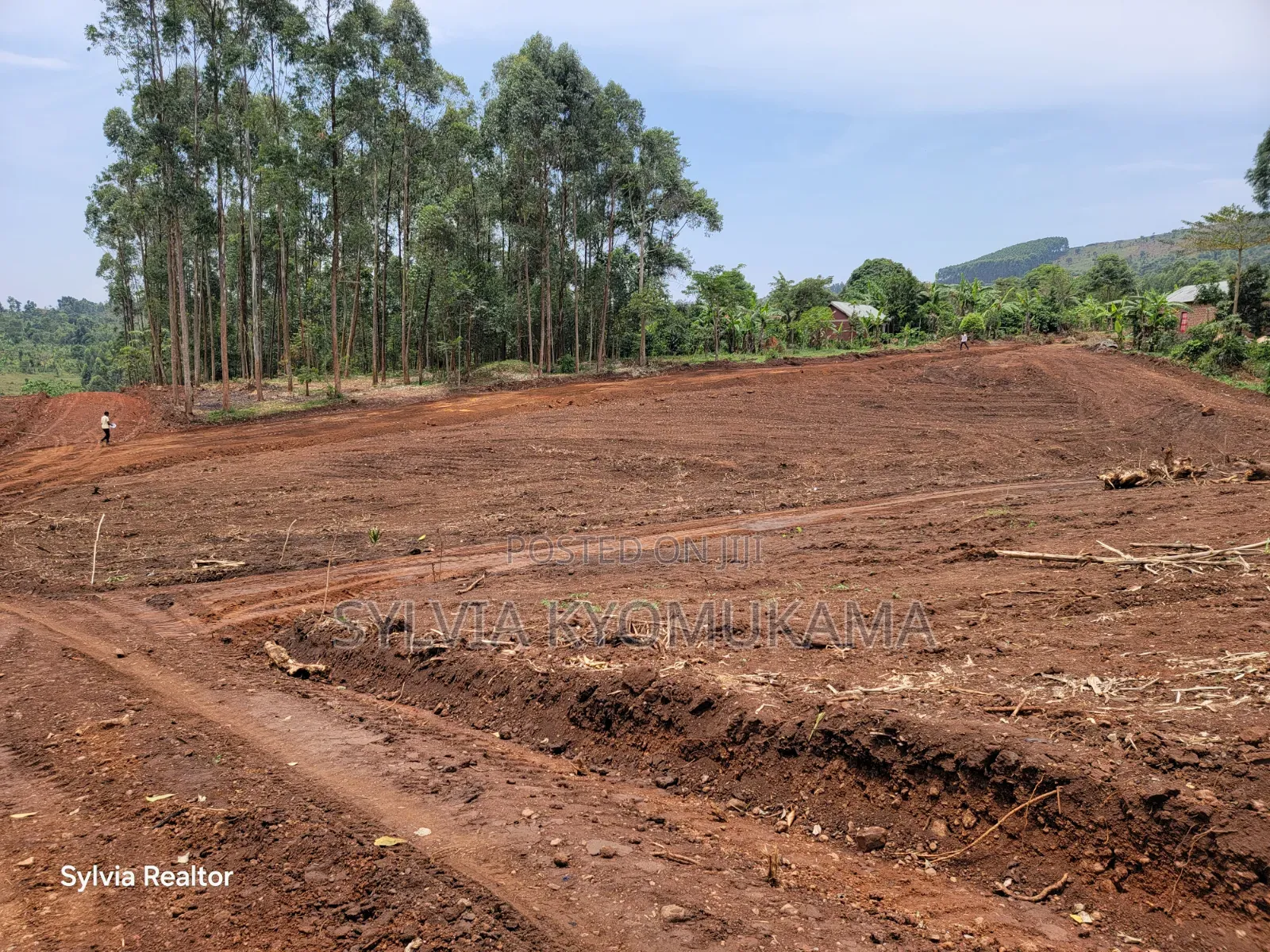 Plots for Sale