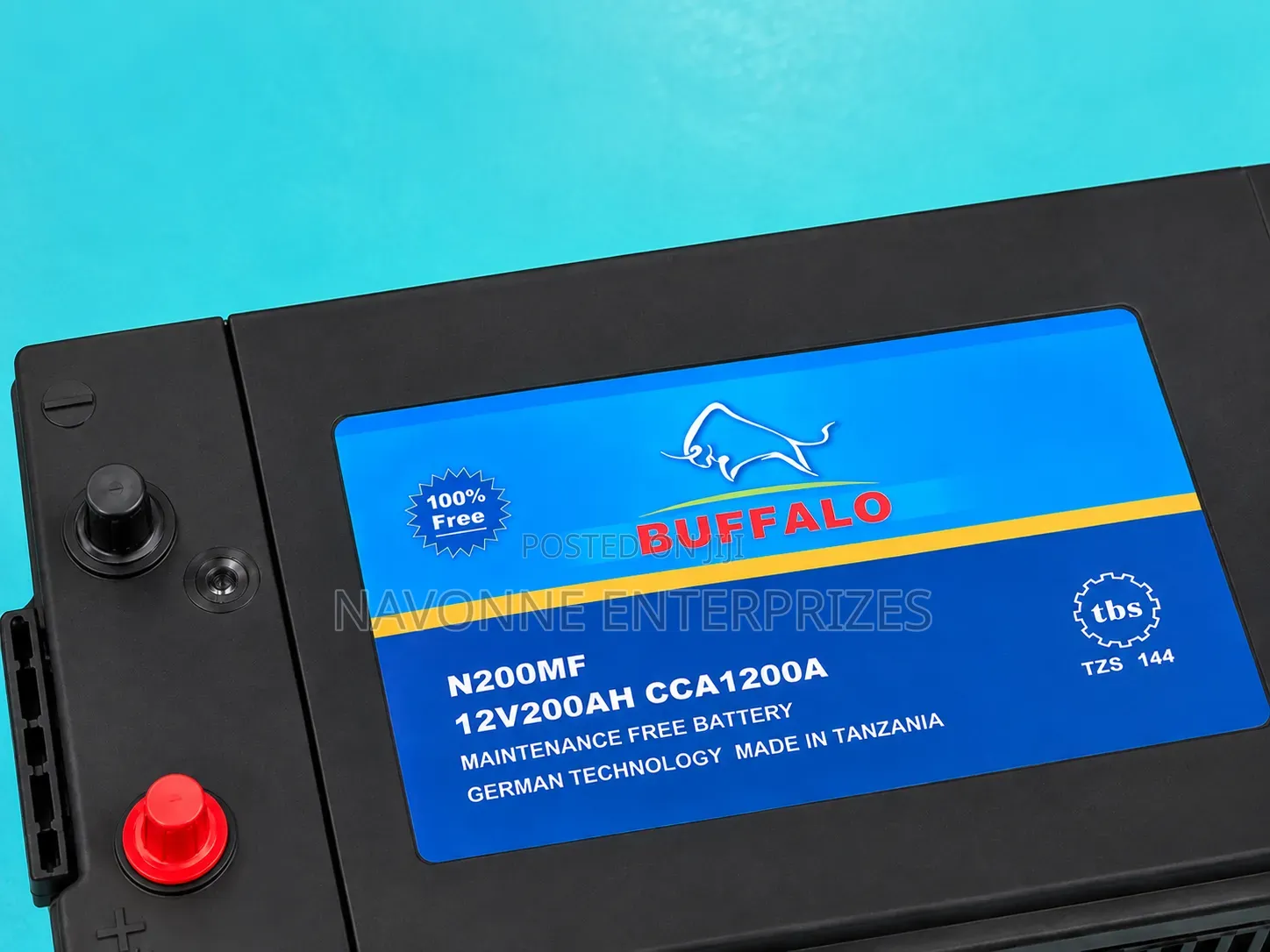 Heavy-Duty 12V 200Ah Buffalo N200 Maintenance Free Battery 1200CCA
