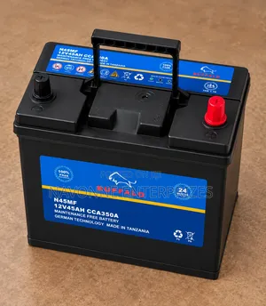 Reliable 12V 45Ah Buffalo N45 Maintenance Free Car Battery 360CCA