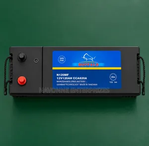 Heavy-Duty 12V 120Ah Buffalo N120 Maintenance Free Battery 820CCA