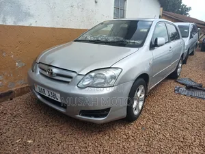 Toyota Allex 2005 Silver