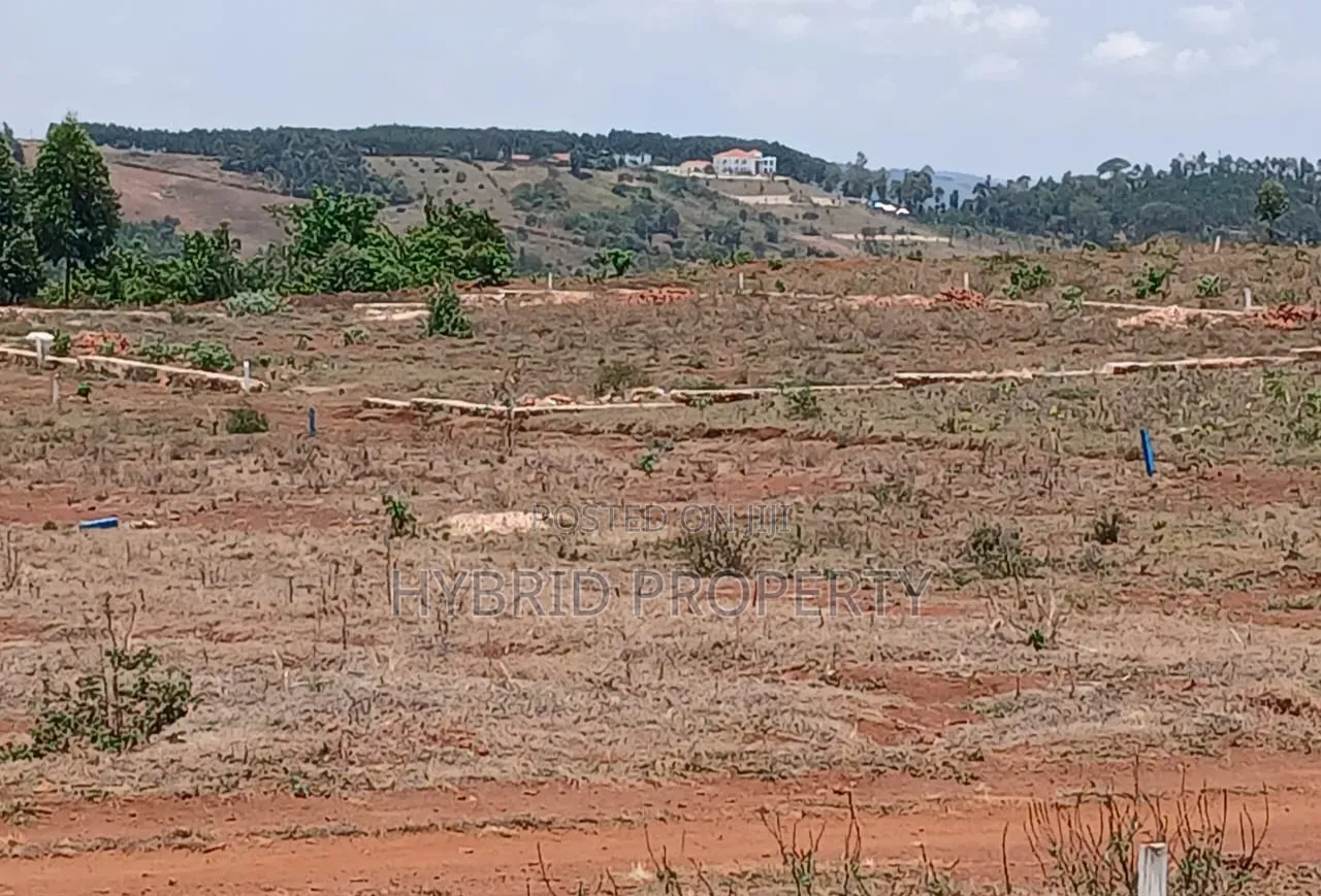 Prime Plots for Sale at Mpigi~Nsamizi Modern Hill View Land Estate.
