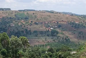 Prime Plots for Sale at Mpigi~Nsamizi Modern Hill View Land Estate.