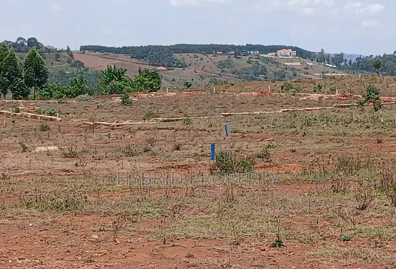 Prime Plots for Sale at Mpigi~Nsamizi Modern Hill View Land Estate.