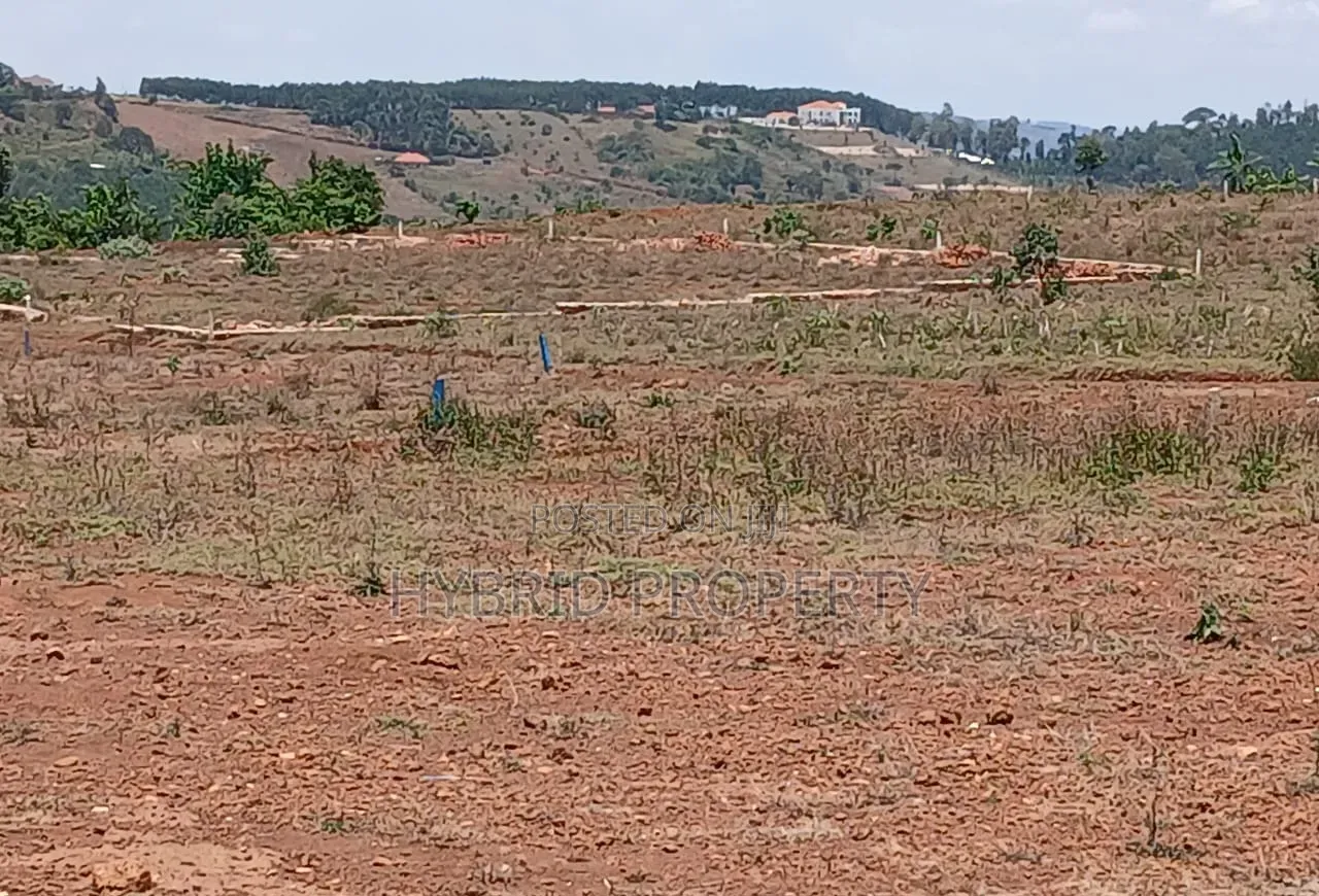 Prime Plots for Sale at Mpigi~Nsamizi Modern Hill View Land Estate.