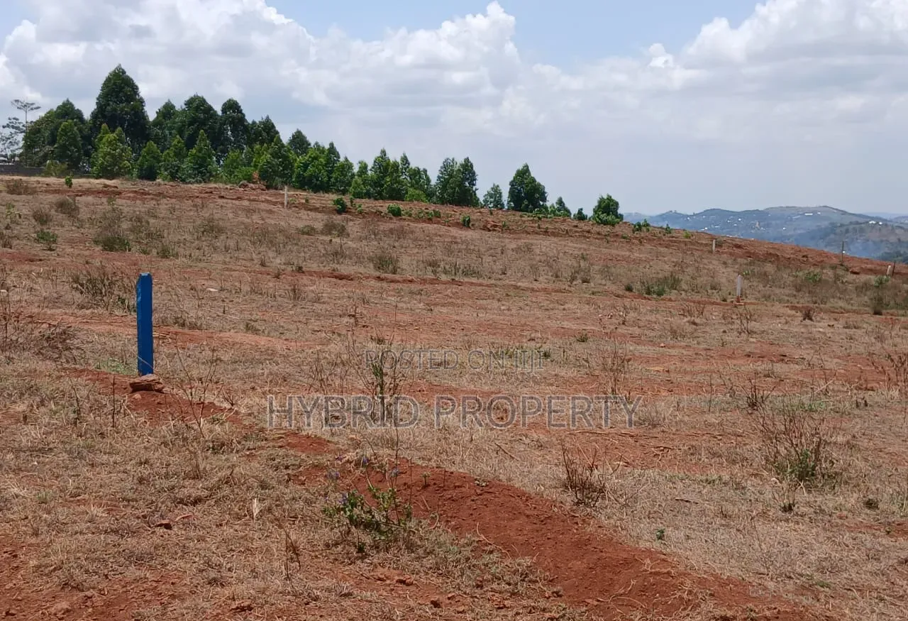 Prime Plots for Sale at Mpigi~Nsamizi Modern Hill View Land Estate.